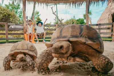 Thavorn Palm Beach Resort Phuket – Foto 15